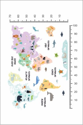 Pembe Dünya Haritası Çocuk Odası Stickerı